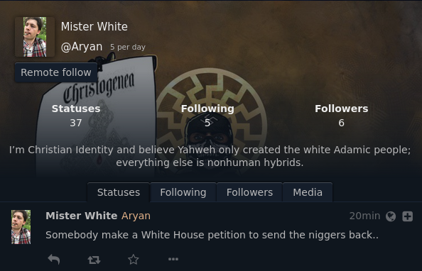 User "Aryan" having a swastika and black sun in their bio and using the N-word.
